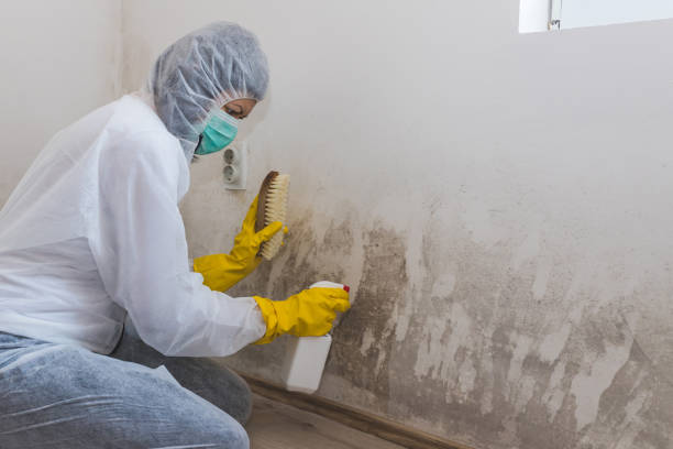 Best Asbestos and Lead Testing During Mold Inspection  in Succasunna, NJ