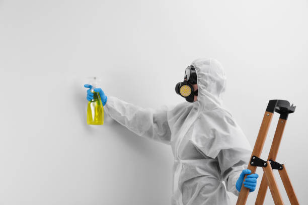 Best Industrial Mold Remediation  in Succasunna, NJ